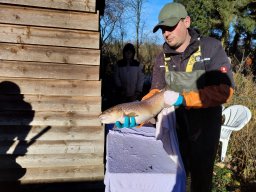 whatsapp image 2025-10-19 at 14.55.56 2